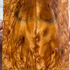 Stabilized (by K&G) Yellow Cedar Burl Hybrid Knife Scales | YCB 322