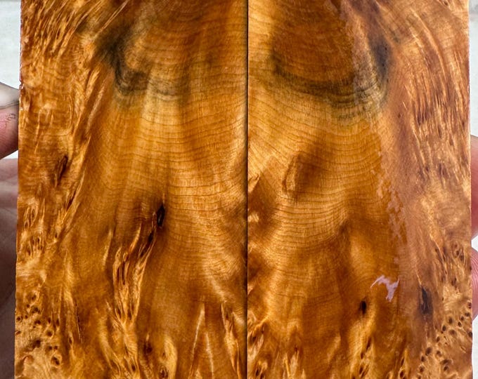Stabilized (by K&G) Yellow Cedar Burl Hybrid Knife Scales | YCB 322