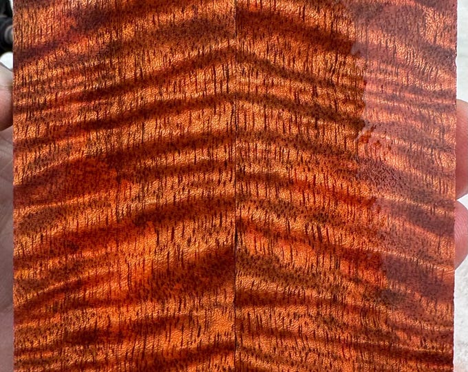 Stabilized Curly Mango Knife Scales | SCM 705