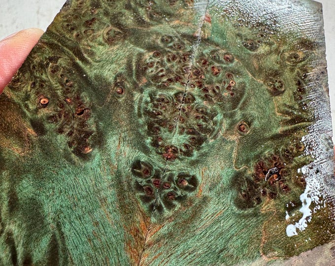 Stabilized Maple Burl Knife Scales | SMB 832