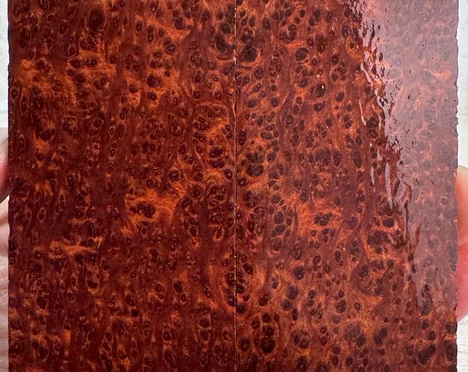 Clear Stabilized Redwood Lace Burl Knife Scales | SRW 745