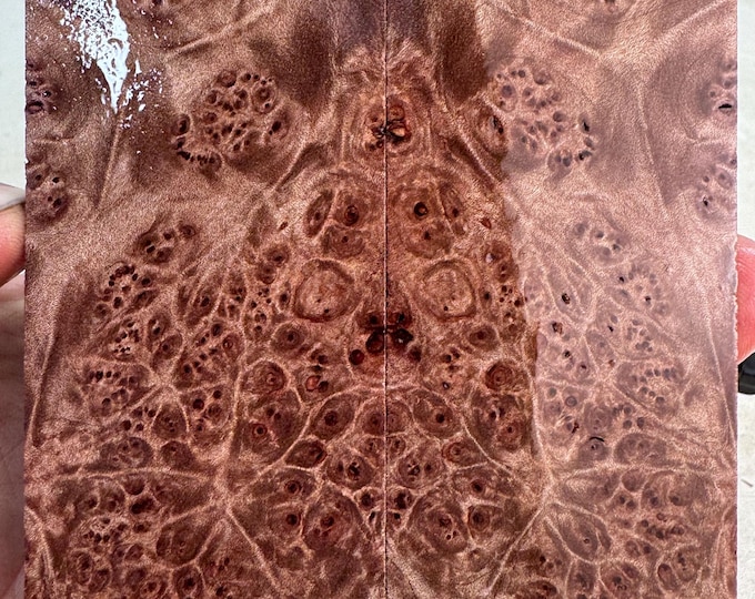 Stabilized Maple Burl Knife Scales | Thins Under 3/8" | SMB 1104