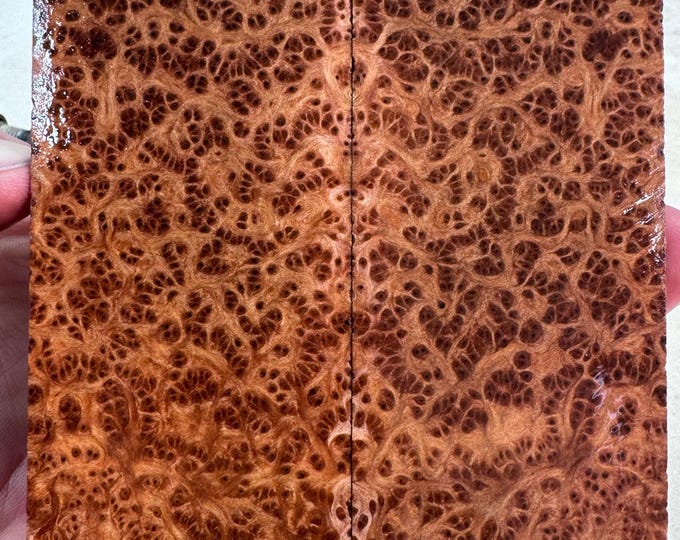 Stabilized (K&G) Redwood Lace Burl Knife Scales | Exhibition Grade | SRW 998