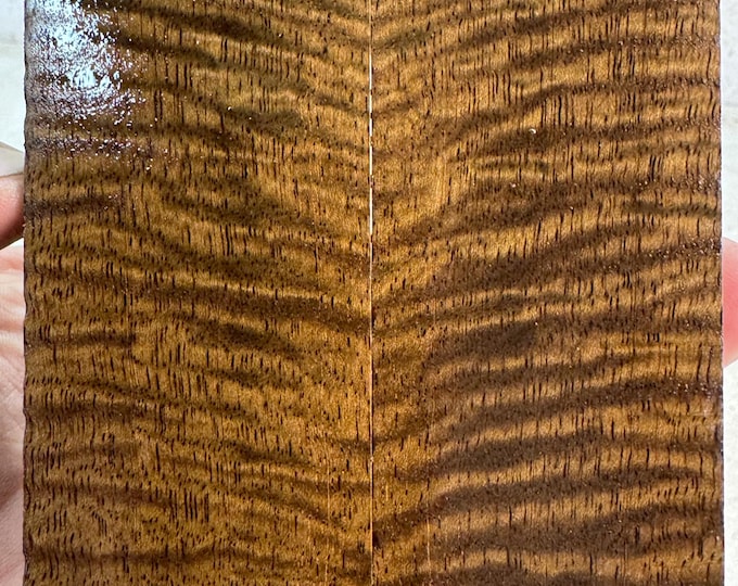 Stabilized Curly Mango Knife Scales | SCM 662