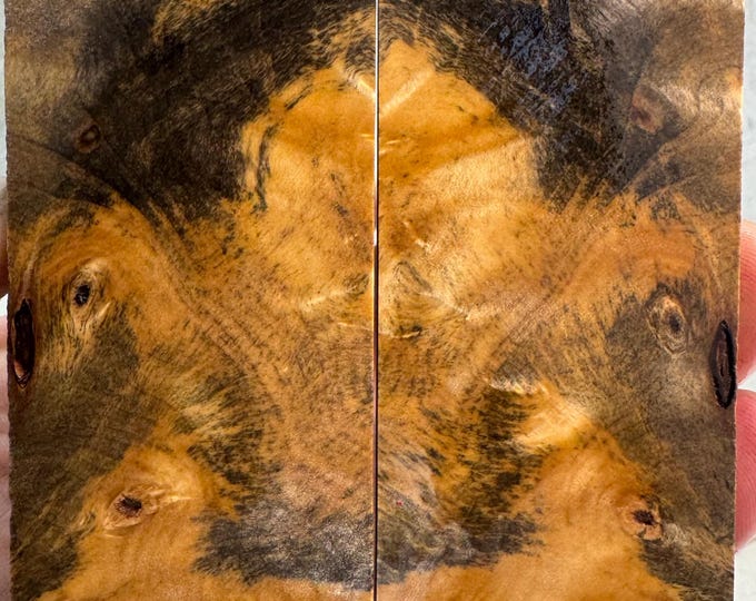 Stabilized Buckeye Burl Knife Scales | SBB 986