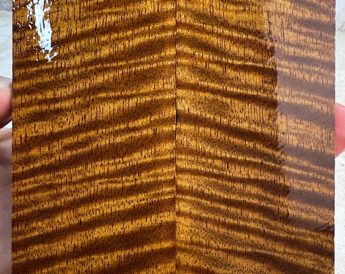 Stabilized Curly Mango Knife Scales | OVERSIZED | SCM 684