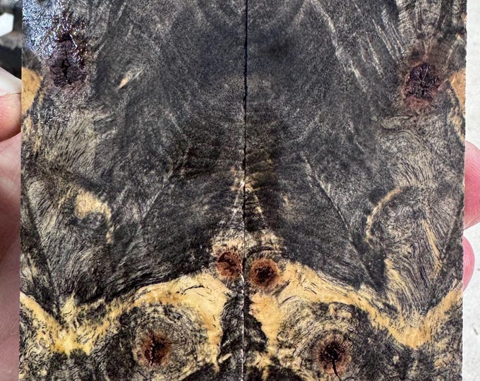 Stabilized Buckeye Burl Knife Scales | SBB 1211