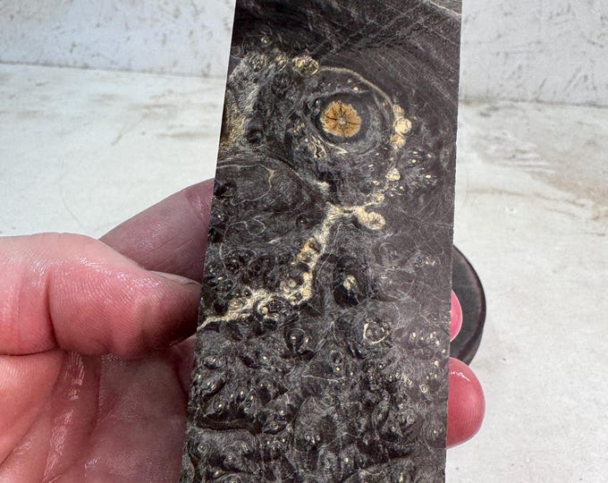 Stabilized Box Elder Burl Knife Blank | SBEB 1192