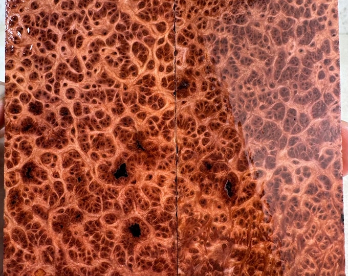 Stabilized Redwood Lace Burl Knife Scales | OVERSIZED | SRW