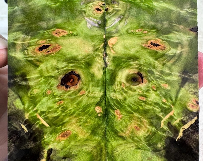Stabilized Buckeye Burl Knife Scales | SBB 1117