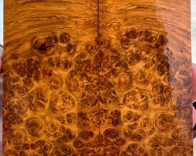 Stabilized Amboyna Burl Knife Scales | SAB 1228
