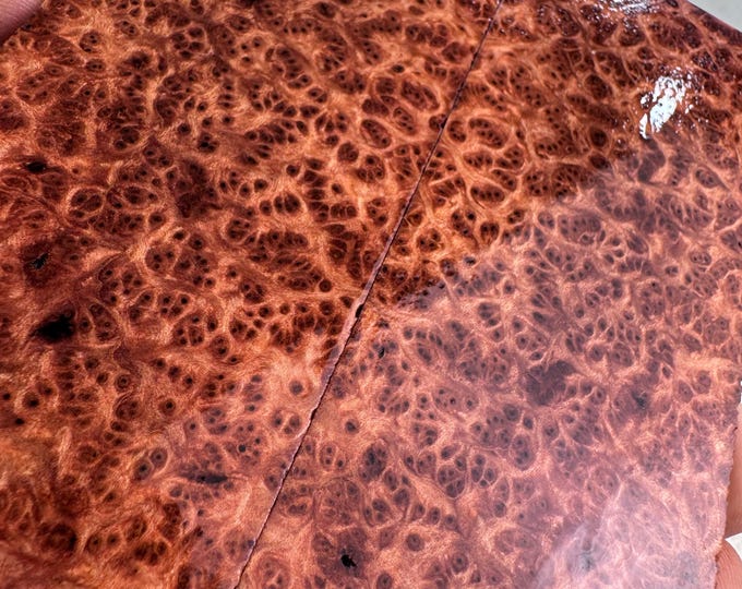 Stabilized (K&G) Redwood Lace Burl Knife Scales | SRW 791