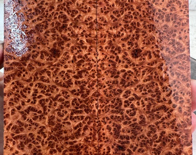 Stabilized (K&G) Redwood Lace Burl Knife Scales | SRW 804