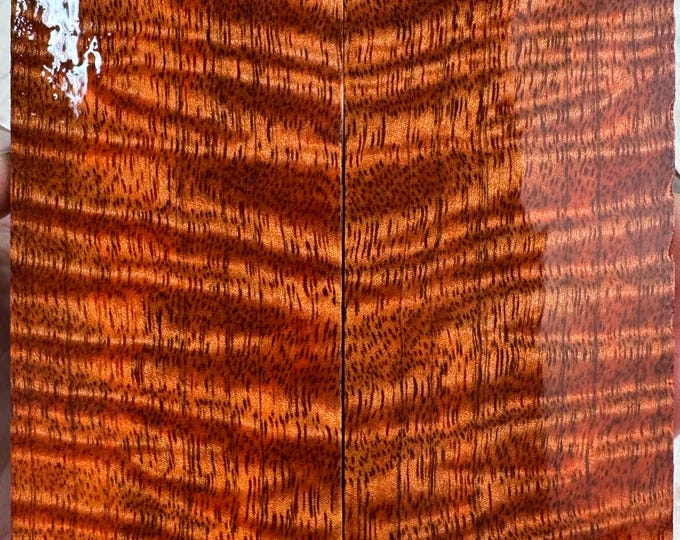 Stabilized Curly Mango Knife Scales | SCM 707