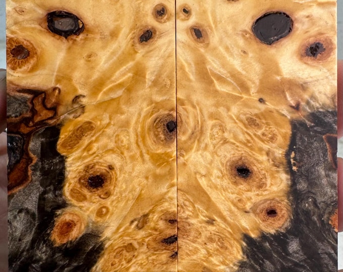 Stabilized Buckeye Burl Knife Scales | SBB 1075