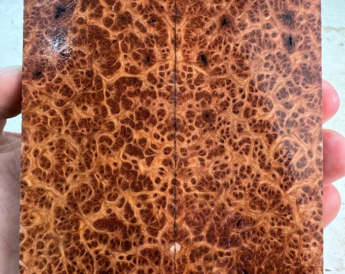 Stabilized Redwood Lace Burl Knife Scales | SRW 862
