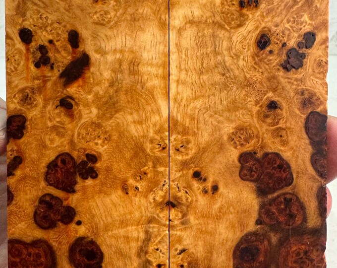 Stabilized Amboyna Burl Knife Scales | FREE SHIPPING | SAB 706