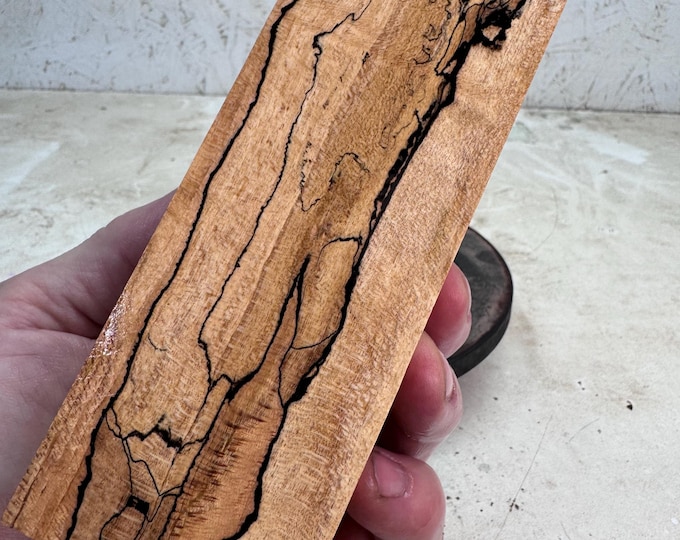Stabilized Spalted Maple Turning Blank or Knife Blank | Oversized | SSM 220