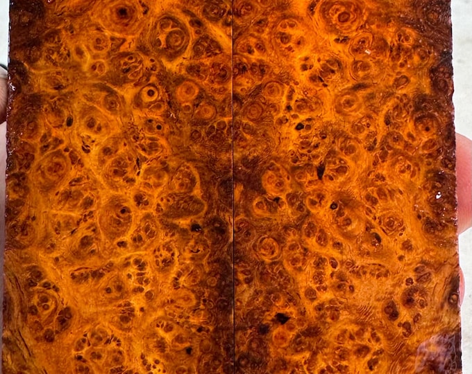 Stabilized Amboyna Burl Knife Scales | SAB 1126