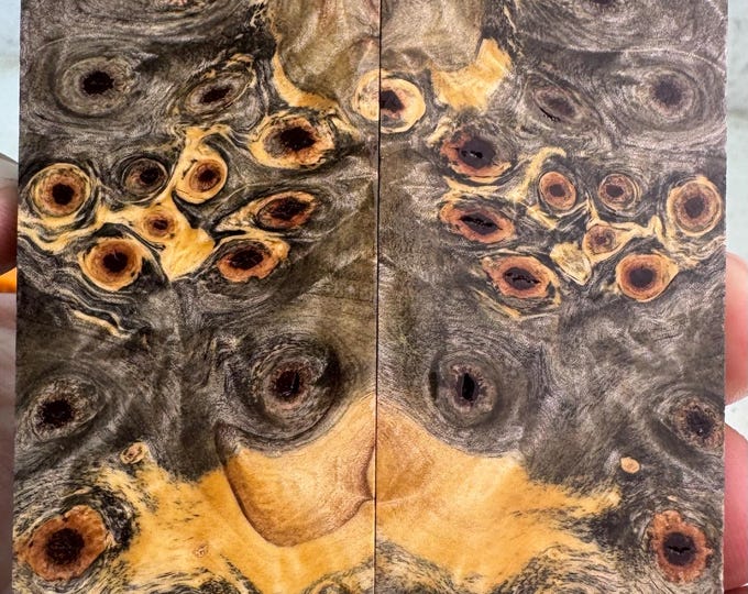 Stabilized Buckeye Burl Knife Scales | SBB 1080