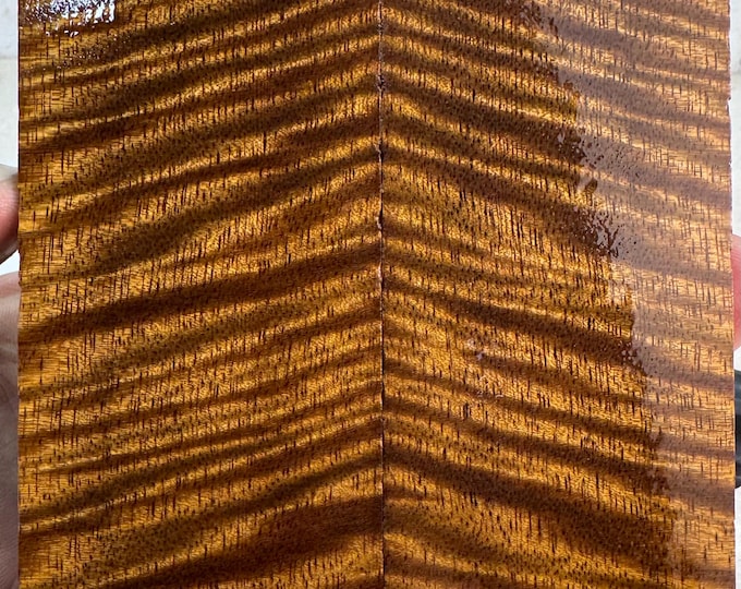 Stabilized Curly Mango Knife Scales | OVERSIZED | SCM 686