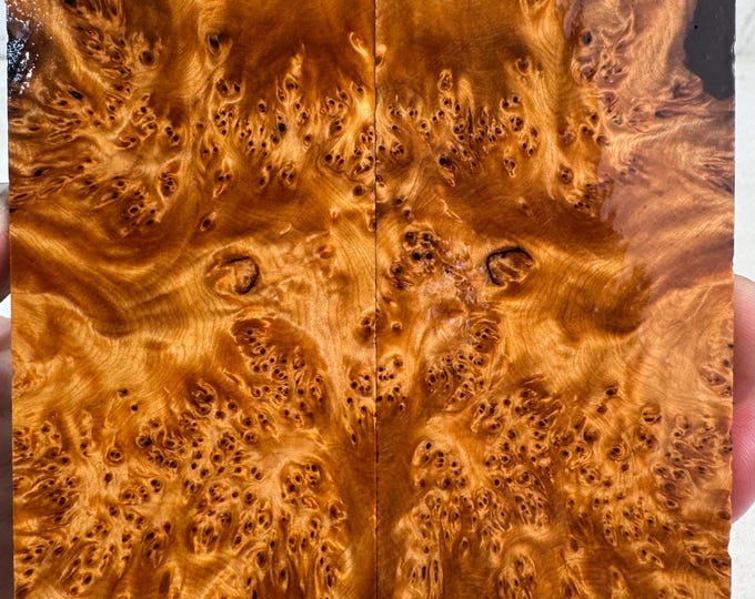 Stabilized Yellow Cedar Burl Hybrid Knife Scales | YCB 321