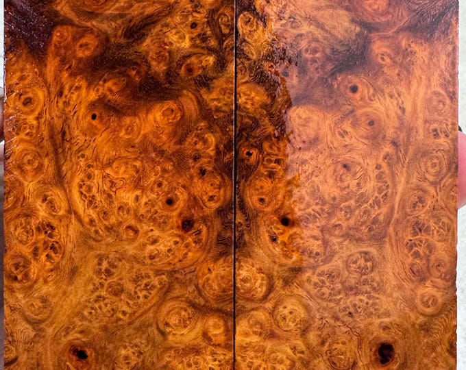 Stabilized Amboyna Burl Knife Scales | SAB 1145