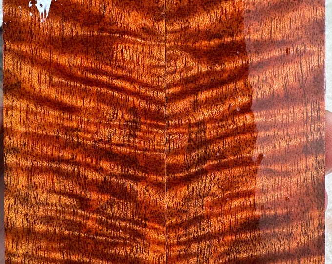 Stabilized Curly Mango Knife Scales | SCM 706