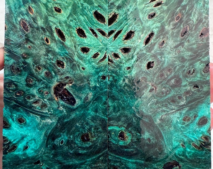 Stabilized Buckeye Burl Knife Scales | SBB 1167