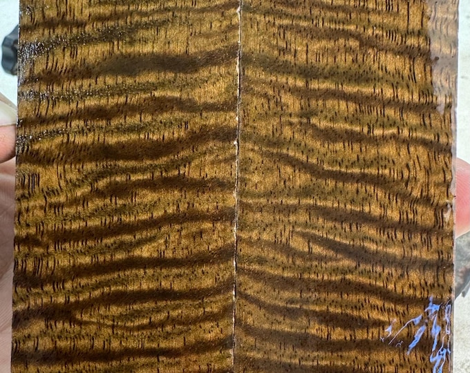 Stabilized Curly Mango Knife Scales | SCM 660