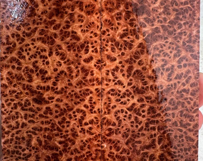 Stabilized (K&G) Redwood Lace Burl Knife Scales | SRW 790