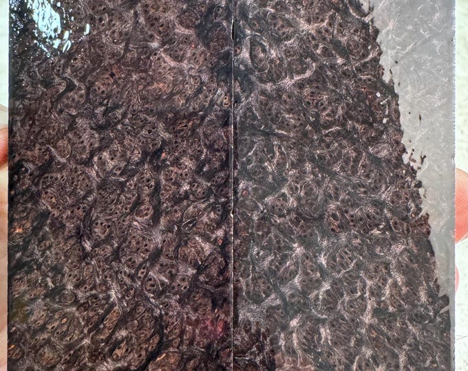Stabilized (K&G) Redwood Lace Burl Knife Scales | SRW 802