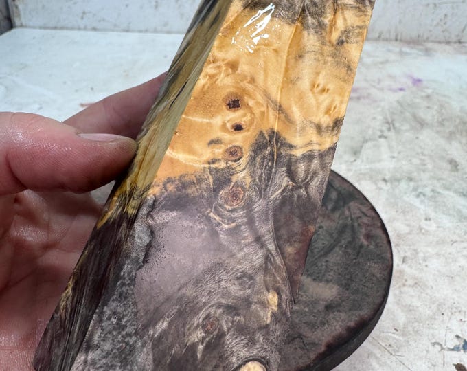 Stabilized Buckeye Burl Turning Blank | Game or Duck Call | SBB 1261