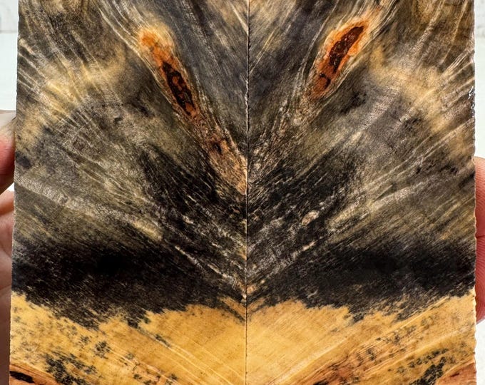 Stabilized Buckeye Burl Knife Scales | SBB 813