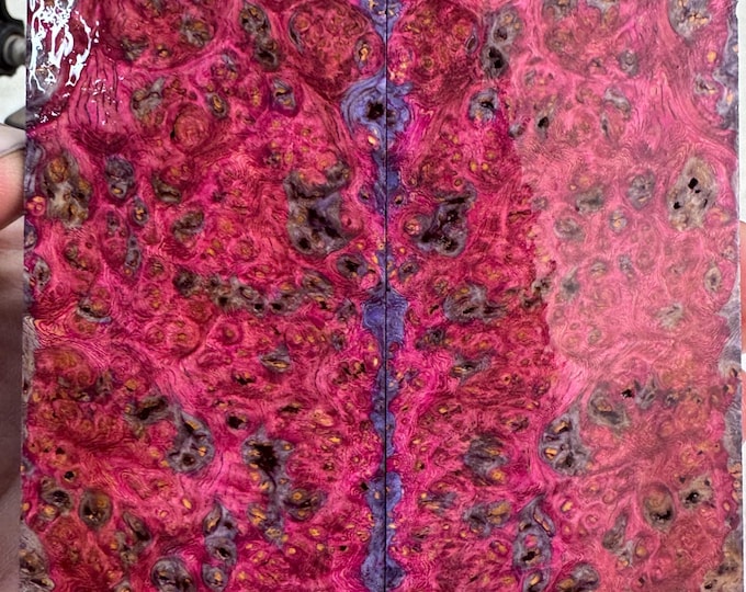 Stabilized Amboyna Burl Knife Scales | SAB 1166