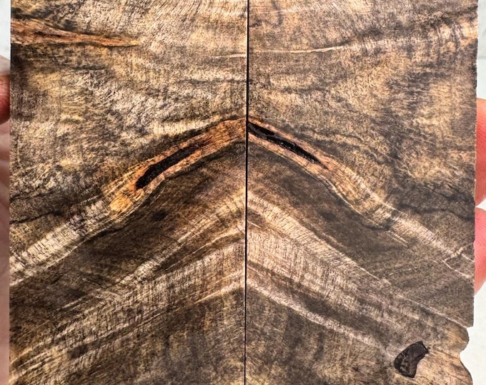 Stabilized Buckeye Burl Knife Scales | Free Shipping | SBB 992