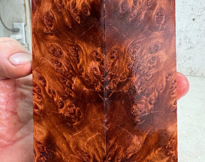 Clear Stabilized Redwood Lace Burl Knife Scales | SRW 757