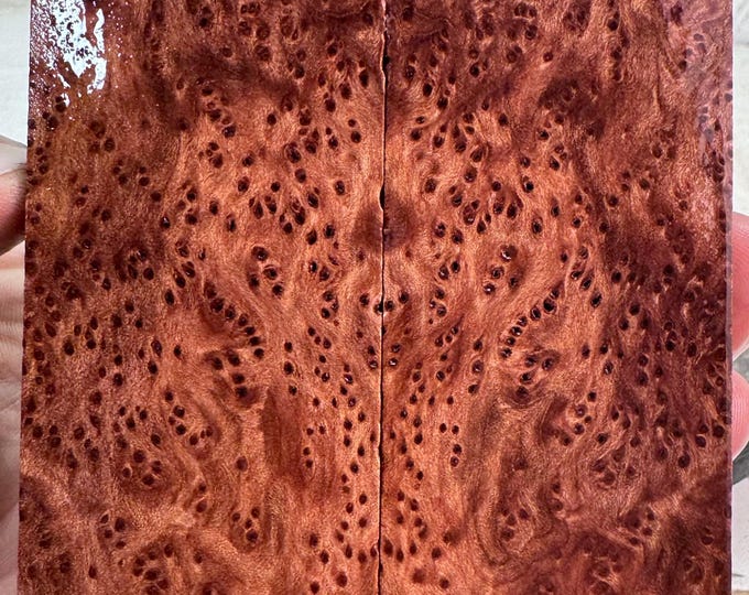 Stabilized (K&G) Redwood Lace Burl Knife Scales | SRW 805
