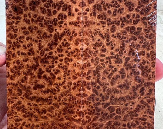 Stabilized (K&G) Redwood Lace Burl Knife Scales | Exhibition Grade | SRW 1000