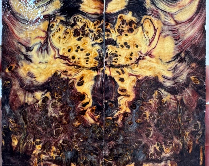 Stabilized (by K&G) Yellow Cedar Burl Knife Scales | YCB 430