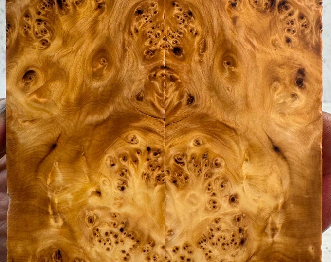 Stabilized Yellow Cedar Burl Knife Scales | YCB 224