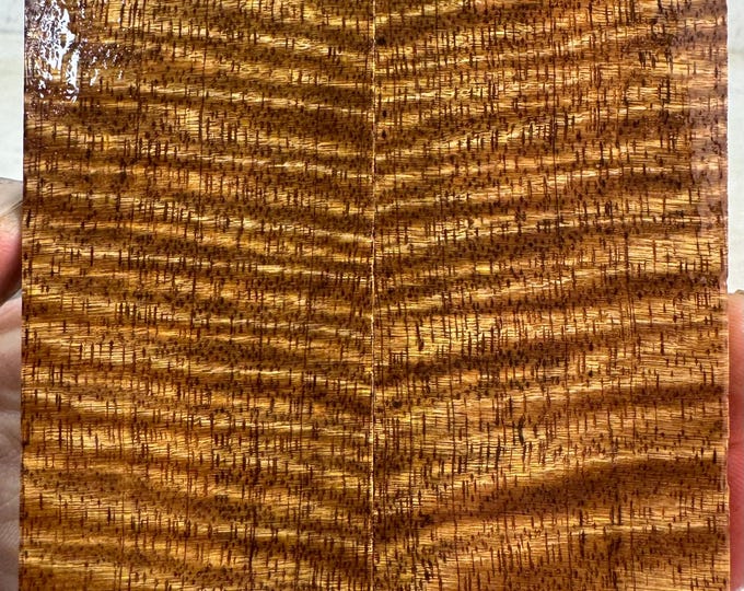 Stabilized Curly Mango Knife Scales | SCM 515