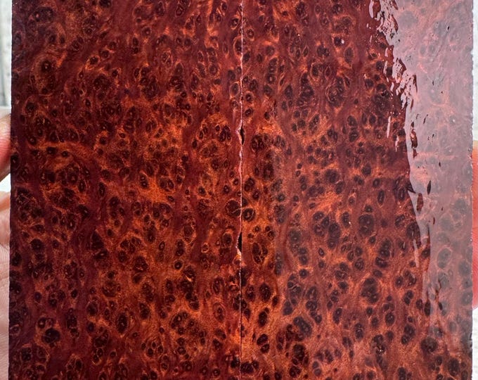Clear Stabilized Redwood Lace Burl Knife Scales | SRW 744