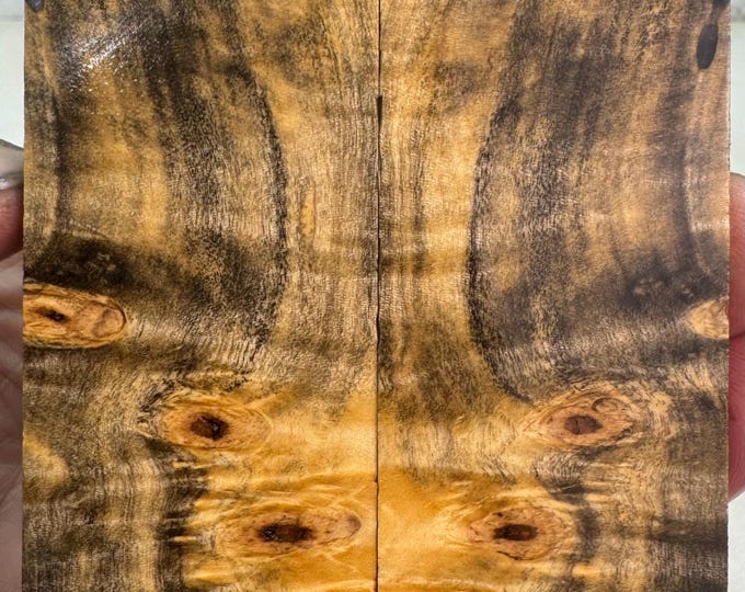 Stabilized Buckeye Burl Knife Scales | SBB 914
