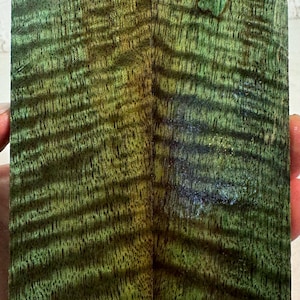 Stabilized Curly Mango Knife Scales | FREE SHIPPING | SCM 307