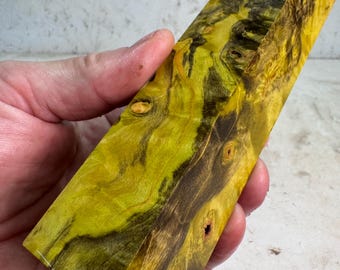 Stabilized Buckeye Burl Turning Blank | Game Call or Duck Call Blank | SBB 1072