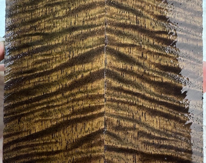 Stabilized Curly Mango Knife Scales | SCM 665