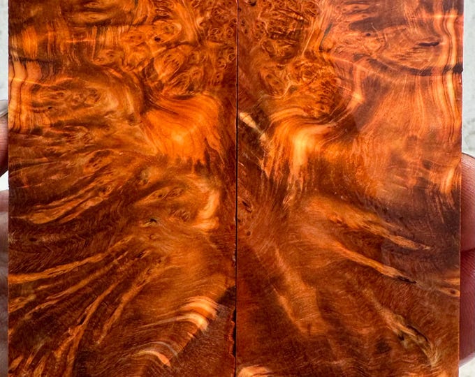 Stabilized Yellow Cedar Burl Knife Scales | YCB 219
