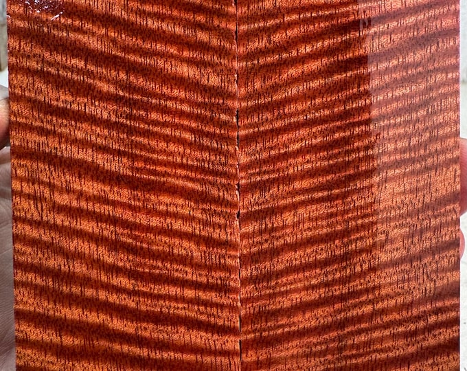 Stabilized Curly Mango Knife Scales | OVERSIZED | SCM 682