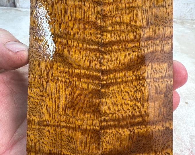 Stabilized Curly Mango Knife Scales | SCM 701